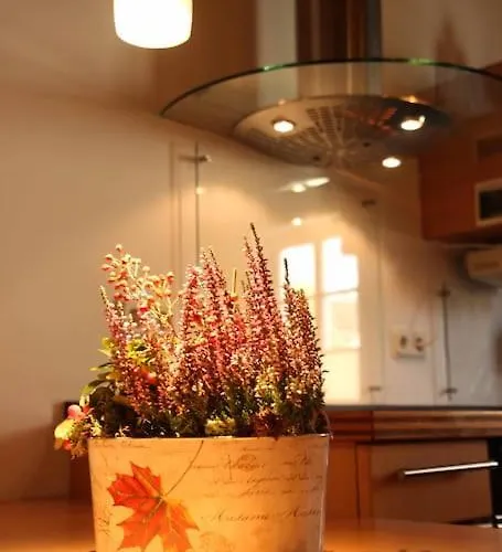 Komfort-ferienwohnung 