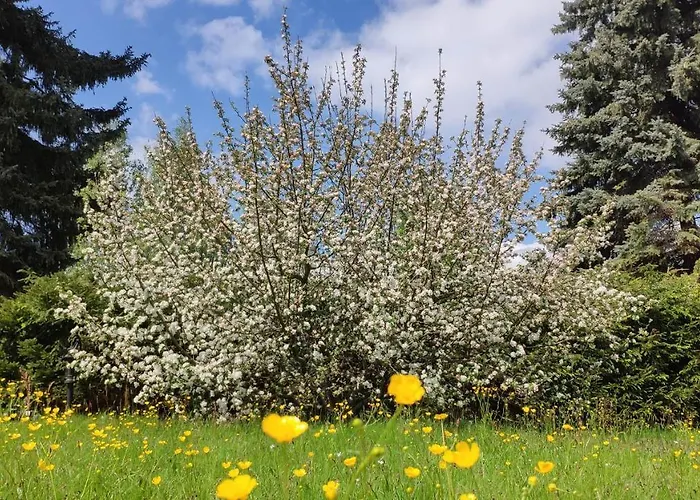 شقة Komfort-ferienwohnung 